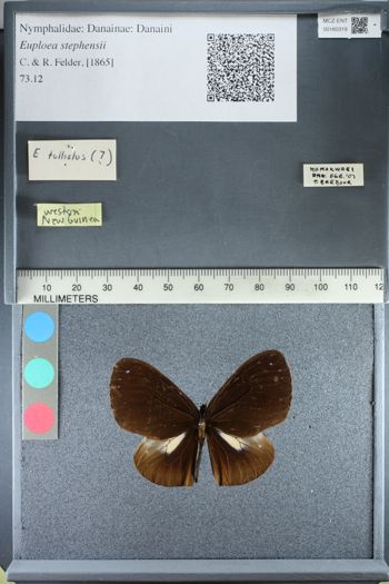 Media type: image;   Entomology 160319